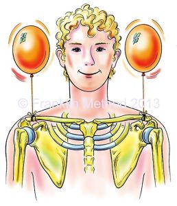 981e510e50311fa2dadf626f8bc319cd